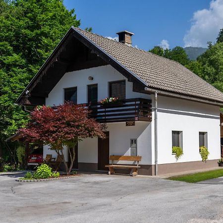 Apartma Pri Lipi Bohinj Εξωτερικό φωτογραφία