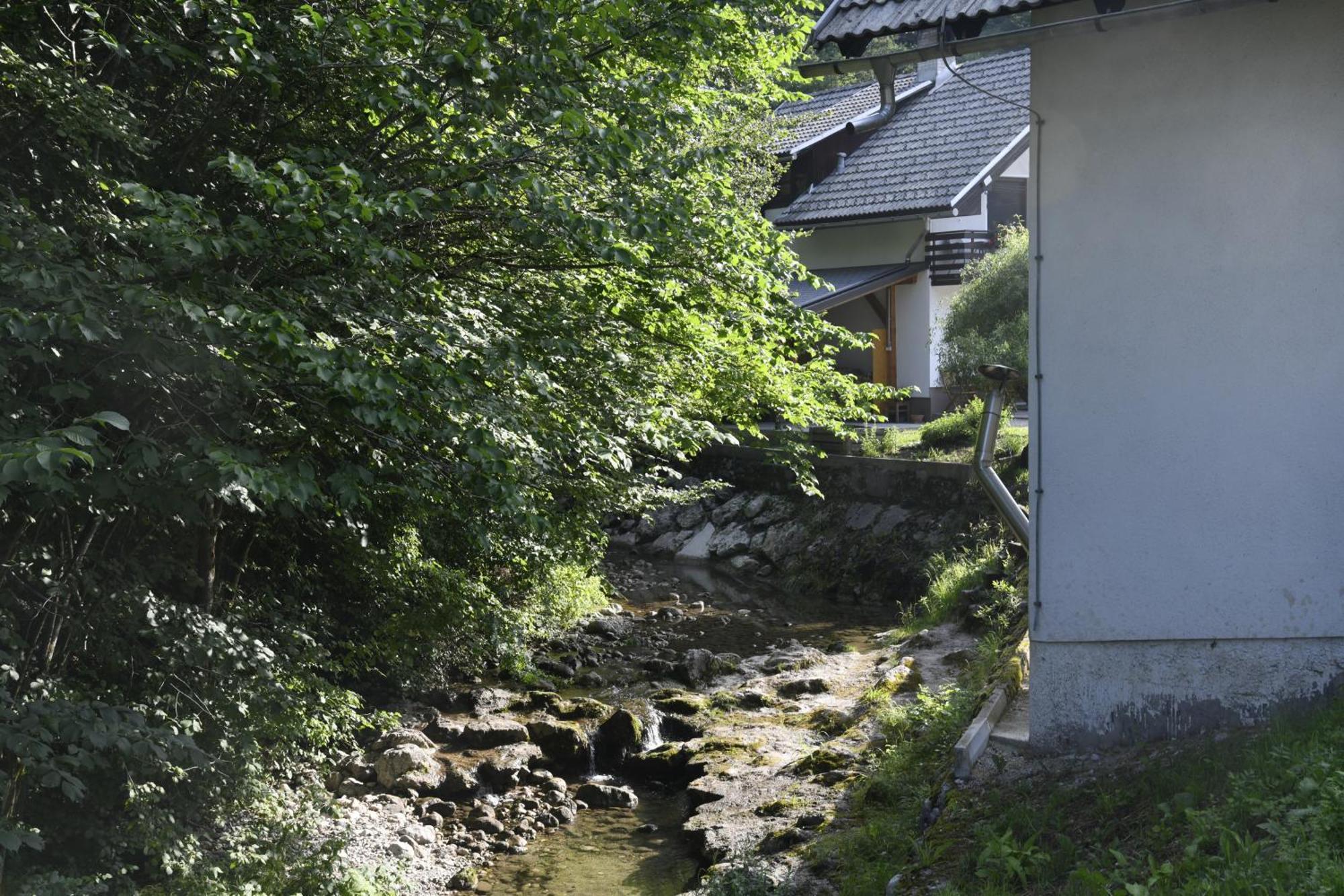 Apartma Pri Lipi Bohinj Εξωτερικό φωτογραφία