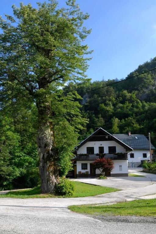 Apartma Pri Lipi Bohinj Εξωτερικό φωτογραφία